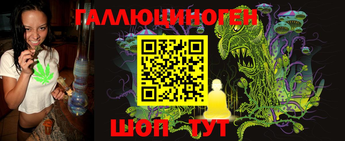 Боровичи  Псилоцибиновые грибы GOLDEN TEACHER  Вход с VPN  Галлюциногенные грибы MAGIC MUSHROOMS 